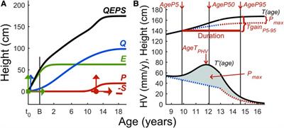 Timing of menarche and pubertal growth patterns using the QEPS growth model